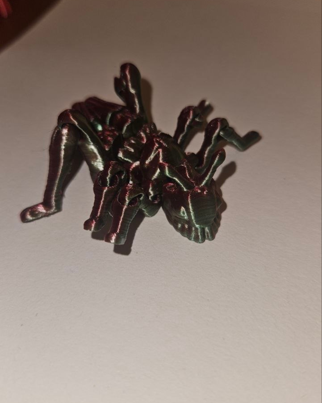 Spider